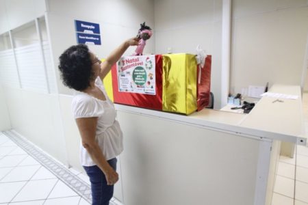 Campanha arrecada enfeites e brinquedos para Natal Sustentável no Parque Irmã Dorothy
