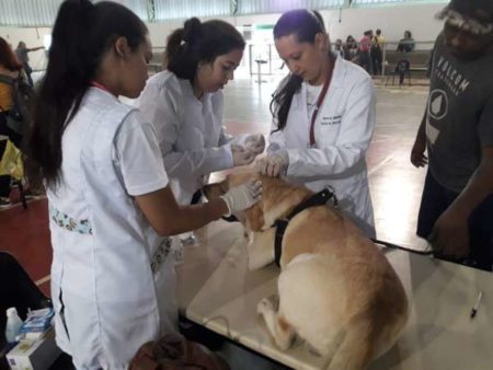 Centro da Melhor Idade Remanso recebe 2º evento de proteção e saúde animal