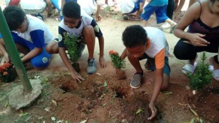 Emef Dayla ganha árvores e plantas ornamentais em ação de projeto ambiental