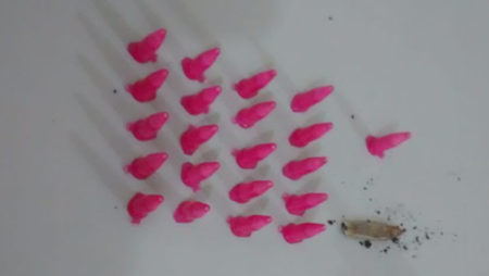 GM prende rapaz em flagrante com cocaína, no Jardim Amanda