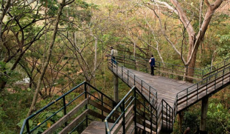 O que é ecoturismo? Saiba por que ele está crescendo cada vez mais no Brasil