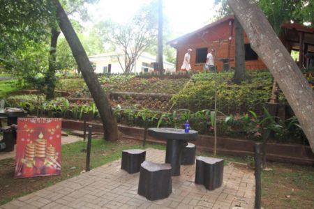 Natal Sustentável no Parque Irmã Dorothy terá 20 atrações musicais