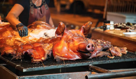 1º Festival de Verão traz atrações para toda a família na Lagoa do Taquaral