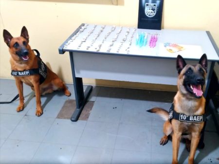 Cães do 10° Baep localizam drogas e 2 indivíduos acabam presos, no Jd Amanda