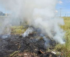 ações para combate de queimadas