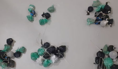 Quarteto é preso em flagrante, por tentar levar drogas e telefones através de pipas, para CPP Ataliba Nogueira, em Campinas