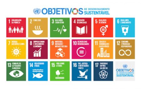 Prefeitura promove seminário digital no Dia Mundial do Meio Ambiente