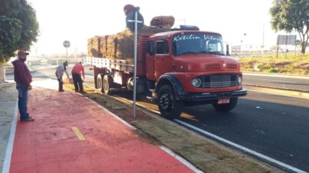 Plantio de grama embeleza nova avenida atrás da Havan