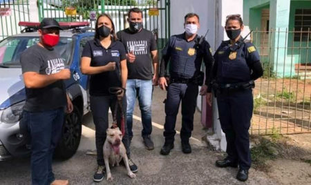 GM apoia ONG em resgate de Pitbull