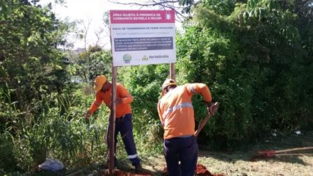 População deve evitar áreas verdes onde há infestação de carrapato transmissor da Febre Maculosa