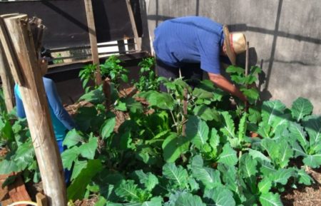 Horta Comunitária resolve problema de descarte irregular de lixo