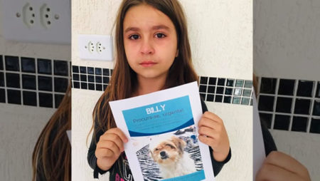 Procura-se por animal perdido no bairro Oreste Ôngaro