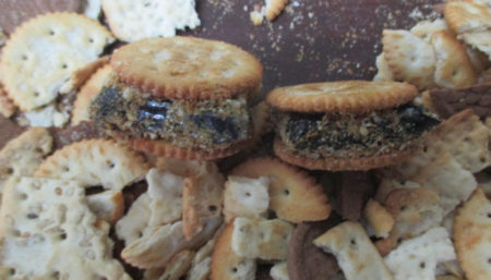 Servidores impedem a entrada de aparelhos e entorpecentes na PII de Hortolândia