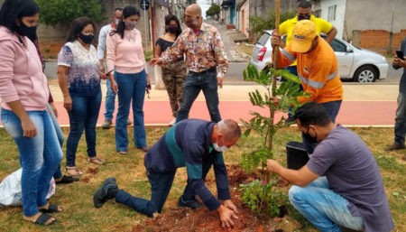 Hortolândia comemora o Dia da Árvore com plantio de mudas na região do Jd. Novo Ângulo