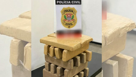 Polícia Civil da Capital prende homem com 20 tijolos de maconha em Hortolândia