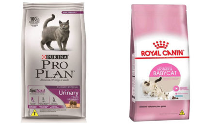 Melhores rações para gatos