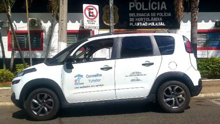 Mãe arremessa bebê ao chão e acaba detida por policiais militares no Jardim Amanda; avó foi quem acionou a polícia