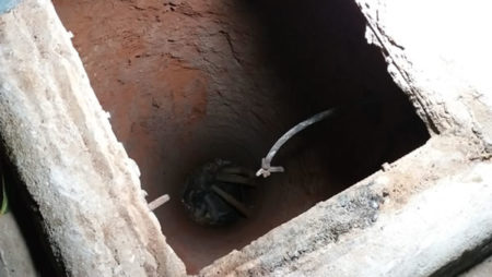 Homem pula em poço de cerca de 10 metros em Hortolândia