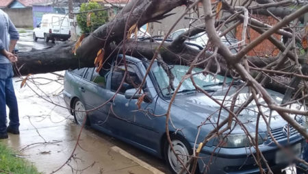 Arvore cai em cima de carro no Jardim Amanda II