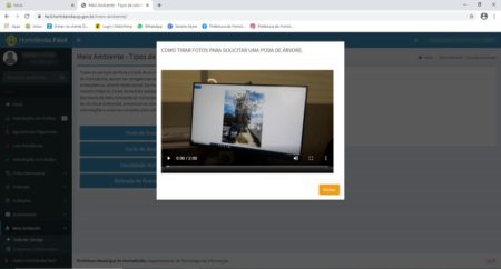 Vídeos orientam a população sobre como fazer a solicitação de poda e corte de árvores