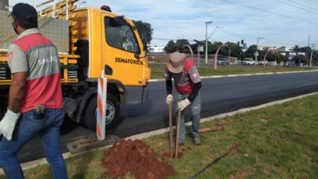 Sinalização viária da Avenida da Emancipação recebe ajuste