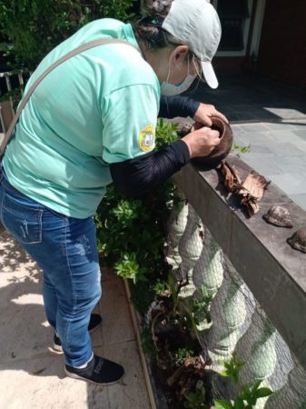 Hortolândia tem índice considerado médio sobre quantidade de criadouros de Aedes aegypti