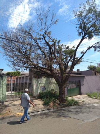 Fiscalização ambiental coíbe descarte irregular de resíduos e poda e corte irregular de árvores
