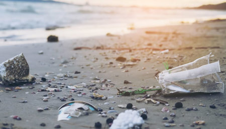 Como descartar o lixo doméstico nas férias sem colocar o meio ambiente e a saúde em risco