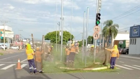 Av. Olívio Franceschini recebe mutirão de poda do mato e limpeza