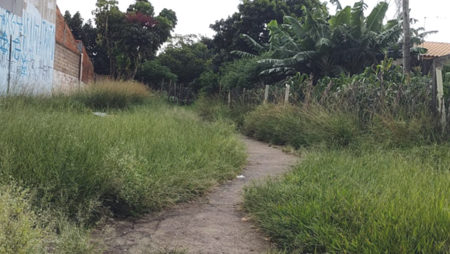 Moradores reclamam de mato alto em vielas do Sta Clara do Lago