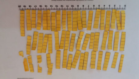 Droga K4 é encontrada em cós de bermuda enviada ao CDPH