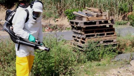 Hortolândia irá multar terrenos com mato alto a fim de coibir a dengue