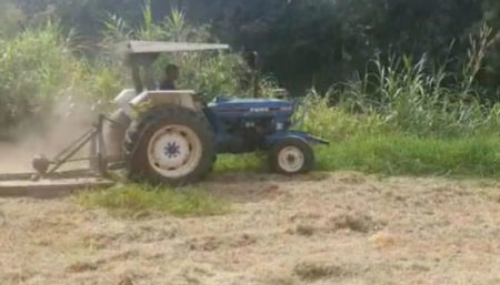 Área verde na Vila Inema recebe mutirão de poda do mato e limpeza