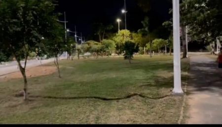 Novo sistema de iluminação em LED no Parque Chico Mendes embeleza o local e garante segurança aos frequentadores