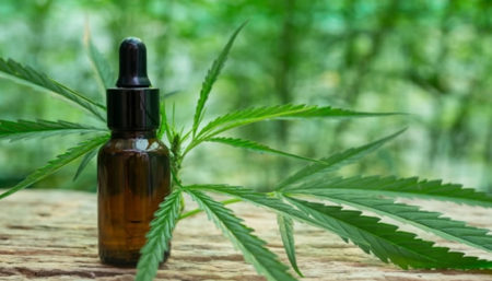 Fibromialgia e a cannabis medicinal