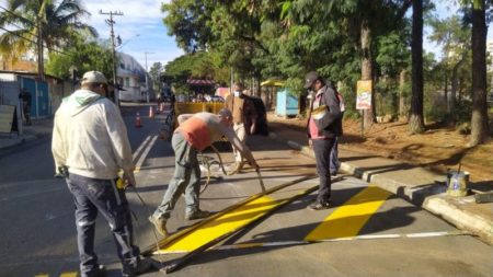 Trechos da Av. Antonio Fernandes Leite ganham reforço na sinalização viária