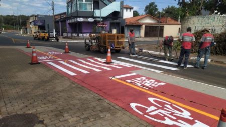 Ciclovia no entorno do Parque Chico Mendes ganha pictograma de bicicleta