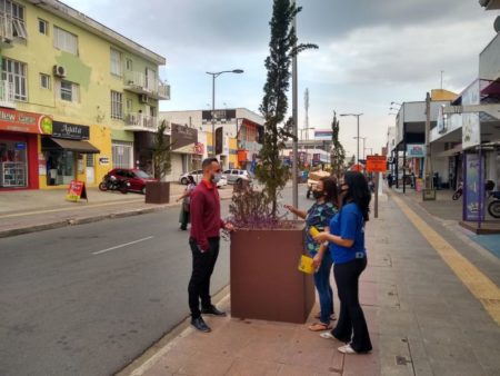Prefeitura reforça orientação aos comerciantes da região central para cuidar dos pinheiros ornamentais