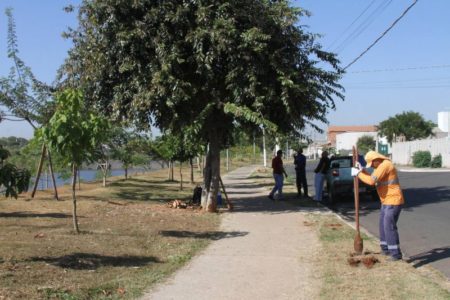 Hortolândia ganha 1.000 mudas de árvores no Lago da Fé e em diferentes regiões da cidade