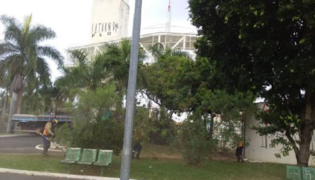 Começou a revitalização na praça “A Poderosa” com mutirão de poda do mato