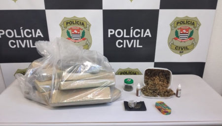Polícia Civil detém homem e apreende 15 tabletes de maconha em Campinas