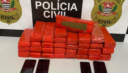 Dupla é presa com 32 tijolos de maconha em Hortolândia