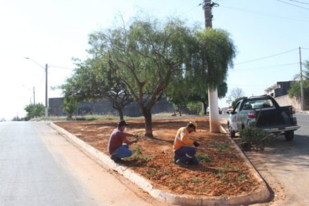 Área pública do Jardim Nova Europa recebe ação de paisagismo