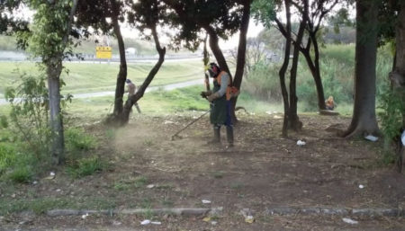 Por mais segurança viária, Prefeitura realiza mutirão de poda do mato em bairros que margeiam a Rodovia SP-101