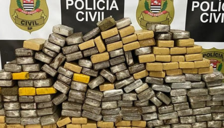 Deic de Campinas detém homem que guardava mais de 300 quilos de maconha em sua casa