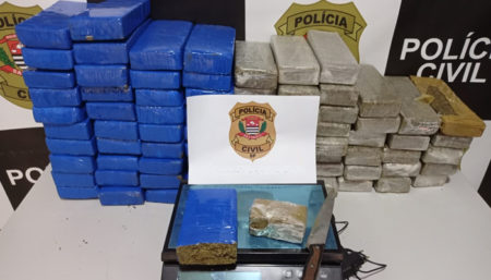 Deic de Campinas apreende 80 tijolos de maconha em Salto