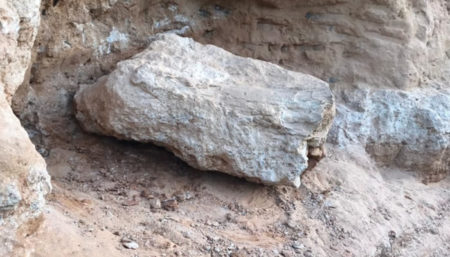 Fóssil de dinossauro é encontrado em obra rodoviária em Marília