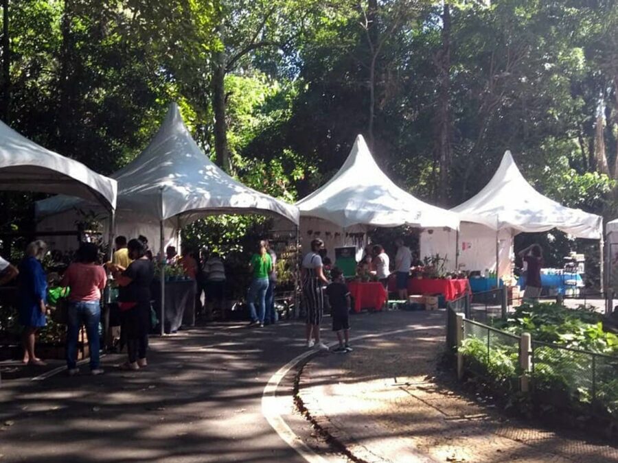 Bosque dos Jequitibás recebe Feira de Orquídeas e Suculentas dias 10 e 11
