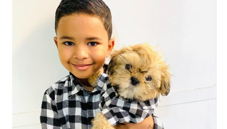 Procura-se por cachorro perdido no bairro Nossa Senhora de Fátima