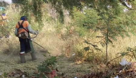 Diversas regiões recebem mutirão de poda do mato e limpeza para evitar focos de queimadas e incêndios em Hortolândia